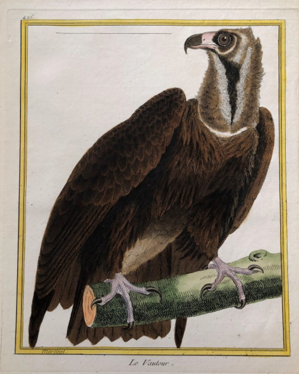 Le Vantour by Francois-Nicolas Martinet