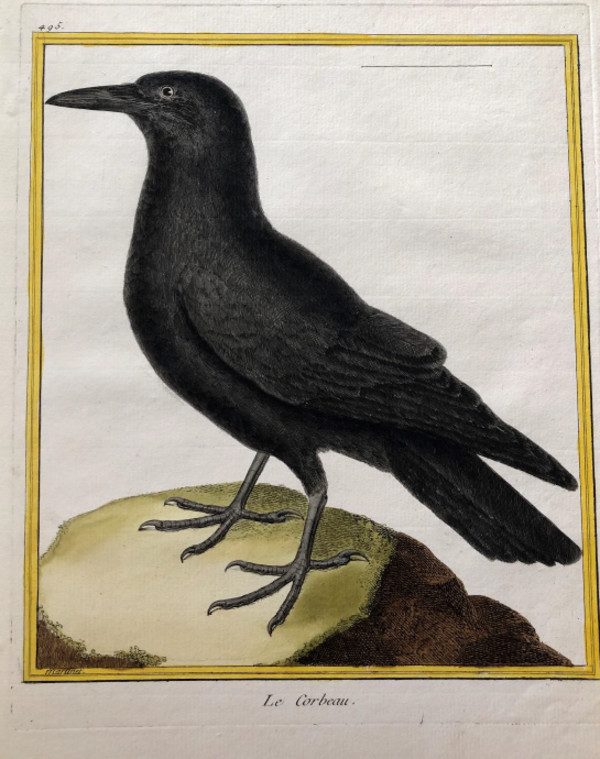 Le Corbeau by Francois-Nicolas Martinet