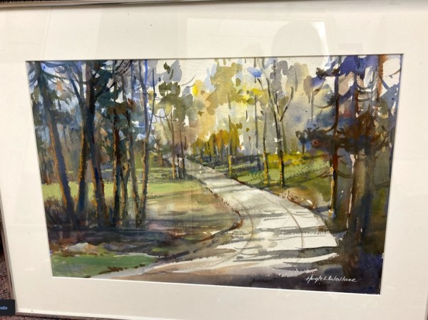 Sunlight on Rural Road by Hugh Wallace