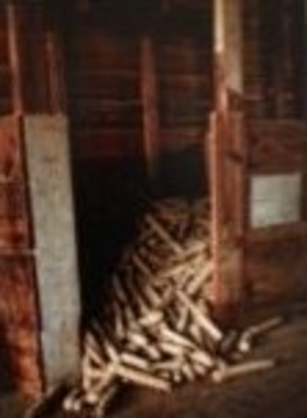 Peckville Farm #12, Murrayville GA by Tom Askew