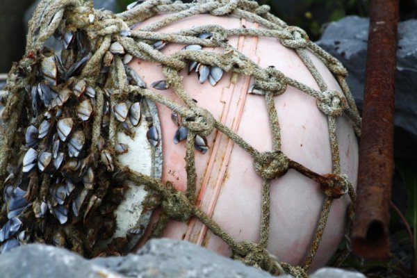 Eirinn go Brach #4 by Rachel Redmon