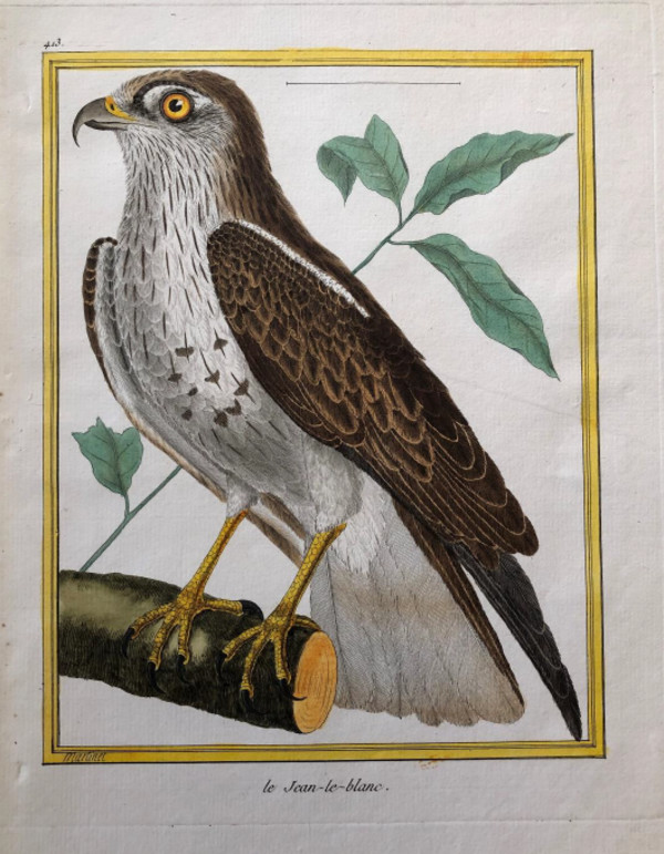 Le Jean le Blanc by Francois-Nicolas Martinet
