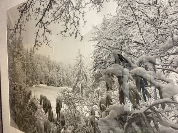 Untitled by Artist unknown