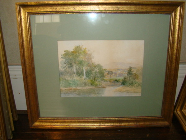 Forest Stream
