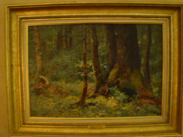 Woods in Chocorua, New Hampshire