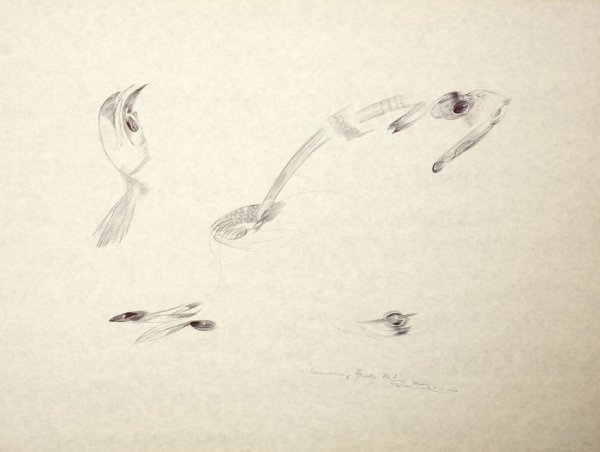 Dancing Fish #1 by Daryl Trivieri