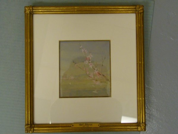 Apple Blossoms
