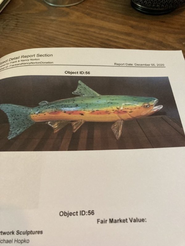 Fish by Michael Hopko