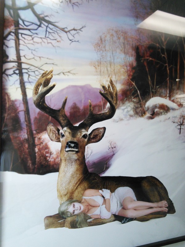 A Warm Deer by Marnie Weber