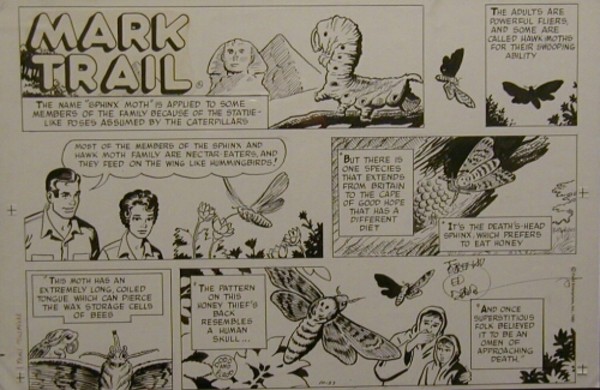 Mark Trail - Original Signed by Ed Dodd