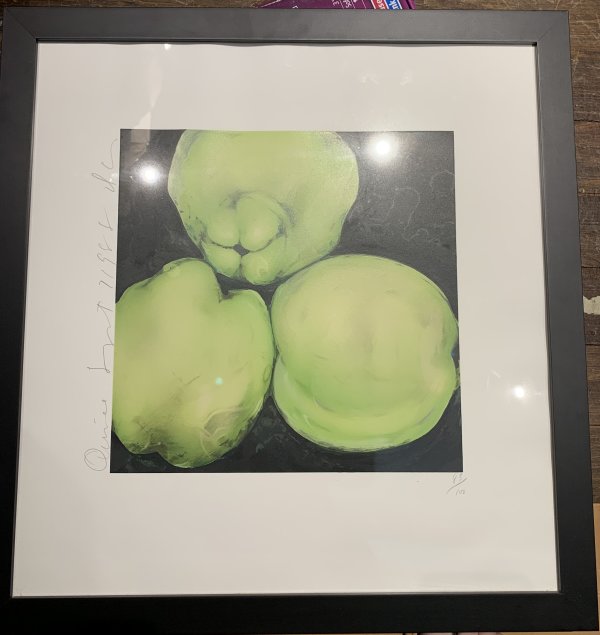 Quince by Donal Sultan
