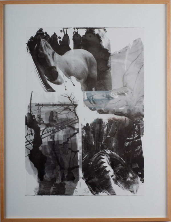 Horse Silk by Robert Rauschenberg