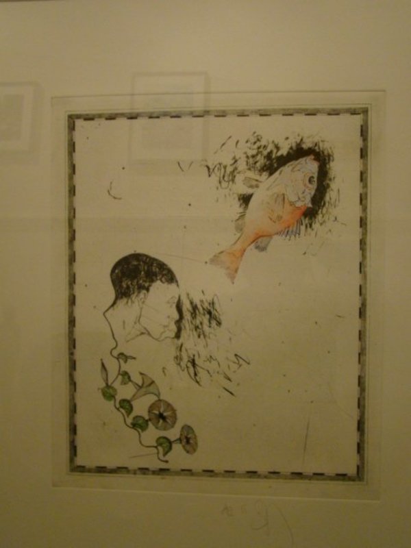 Face and Fish by Donald Saff