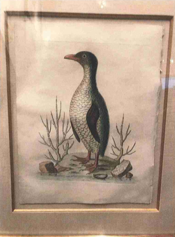 Penguin, 19 by George Edwards