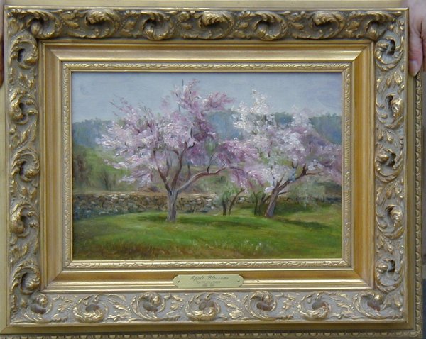Apple Blossoms