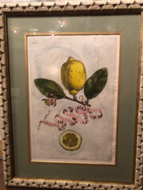 Limon Dulci Medulla Olysiponesis