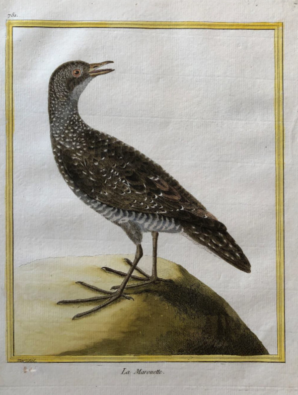 La Marouette by Francois-Nicolas Martinet