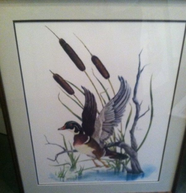 Wood Duck Drake by Bill Wesling