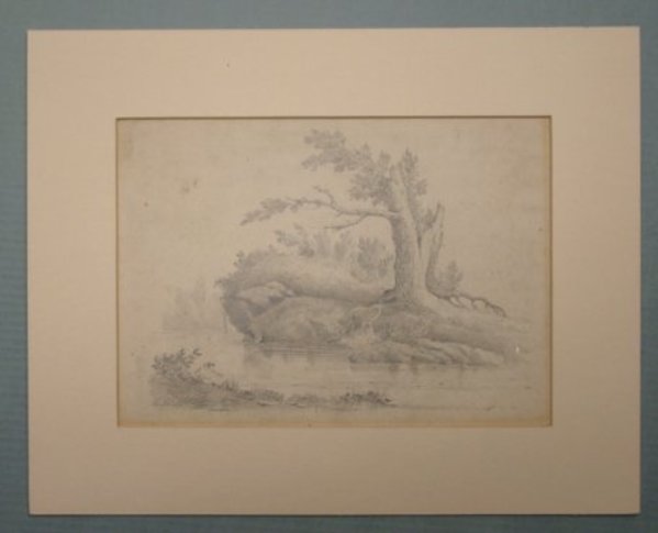 Tree by a Stream by David Johnson