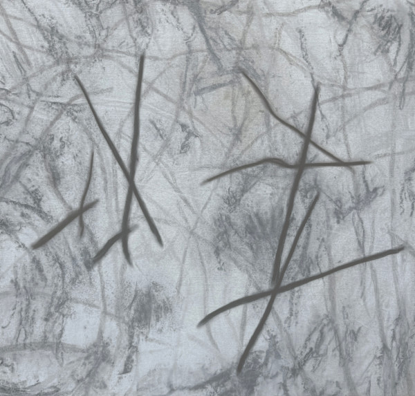 Shapes of Earth: Finding What I Will Keep by Rachel Kice, Image 1.