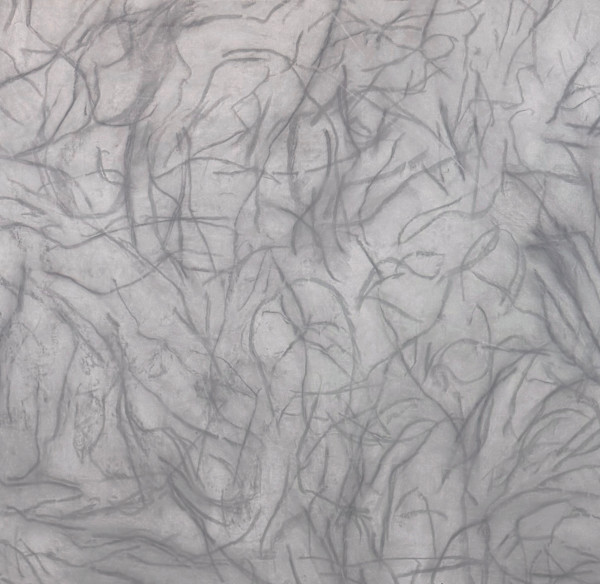 Shapes of Earth: Please Someone Come Baptize Me by Rachel Kice, Image 2.