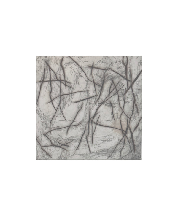 Shapes of Earth: Sticks on Skin: I Would Like to Keep Everything I Find by Rachel Kice, Image 1.