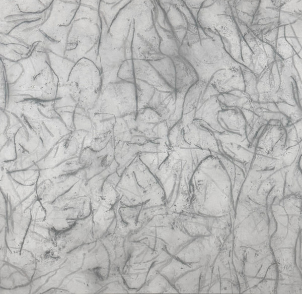 Shapes of Earth: What If I Did Not Have a Face? by Rachel Kice, Image 2.