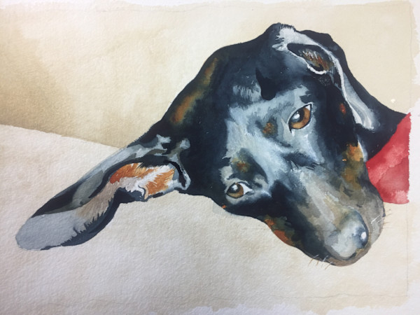 Riley by Margaret Park, Image 1.