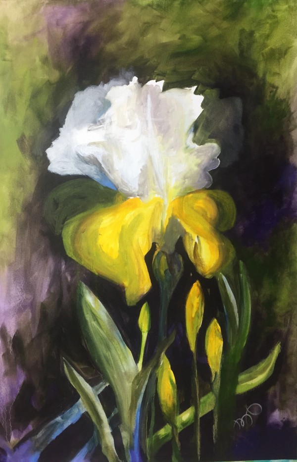 Iris Glow by Margaret Park