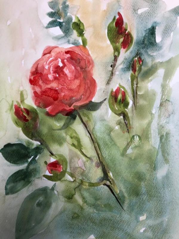 May Roses II by Margaret Park