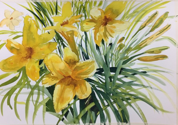 Sunshine In Bloom by Margaret Park