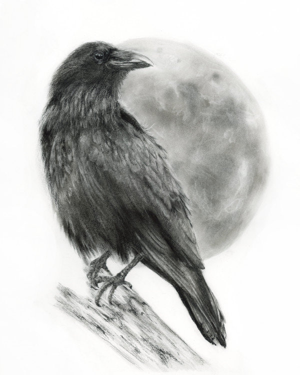 Raven and Moon by Sarah Jaynes