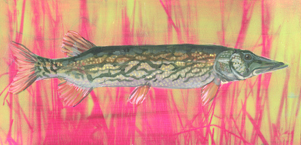 PICKEREL by Sarah Jaynes