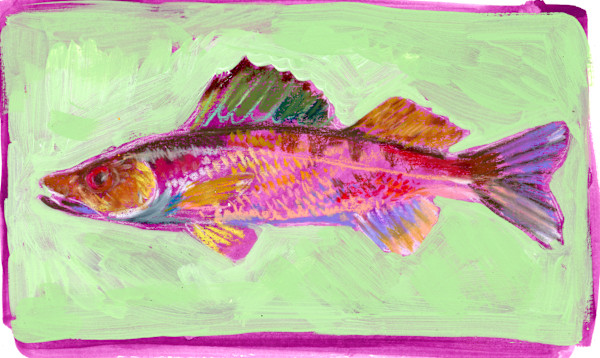 WALLEYE STUDY by Sarah Jaynes