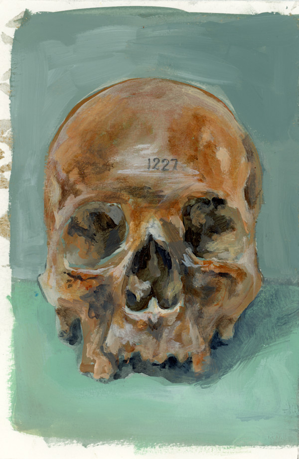 SKULL 1227 by Sarah Jaynes