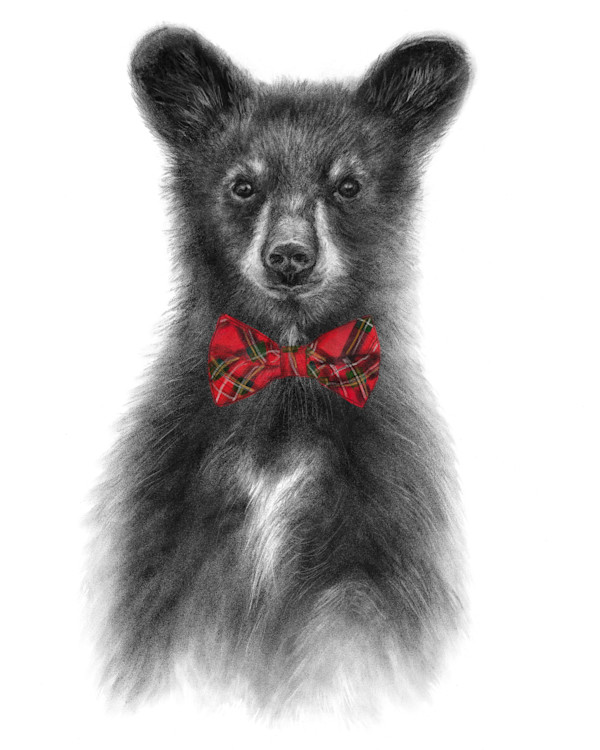 Christmas Bear by Sarah Jaynes