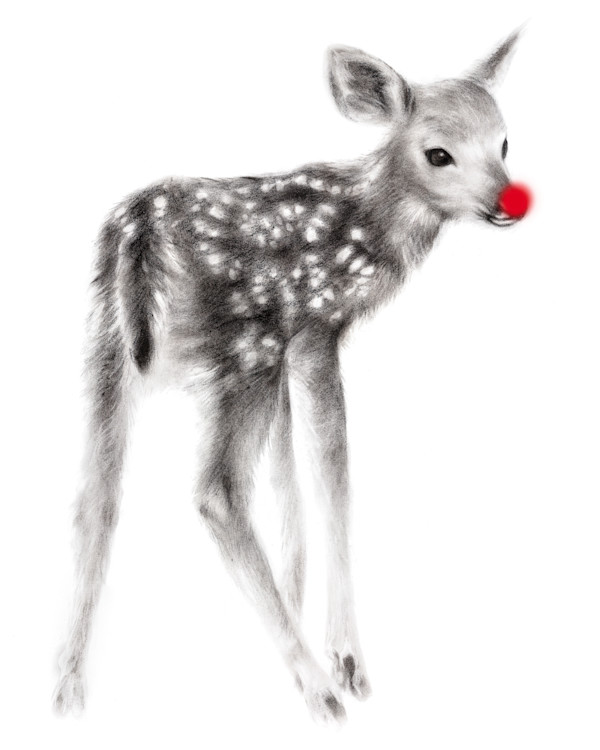 Christmas Fawn by Sarah Jaynes
