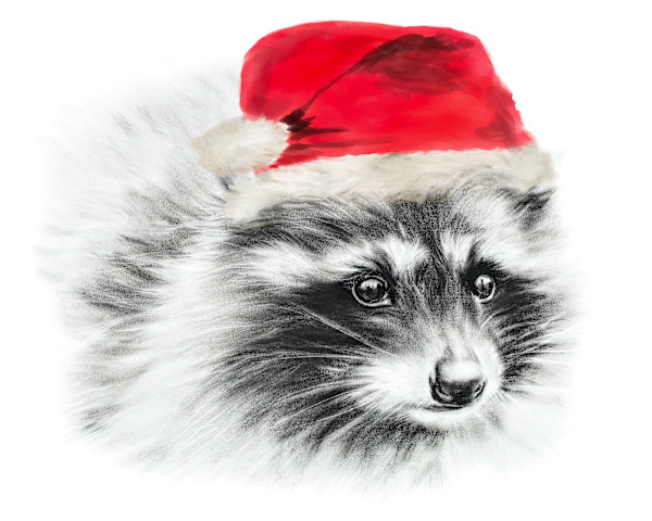 Christmas Racoon by Sarah Jaynes