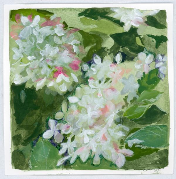 Hydrangea by Sarah Jaynes
