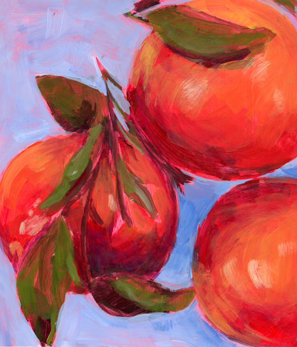 Oranges Sketch by Sarah Jaynes