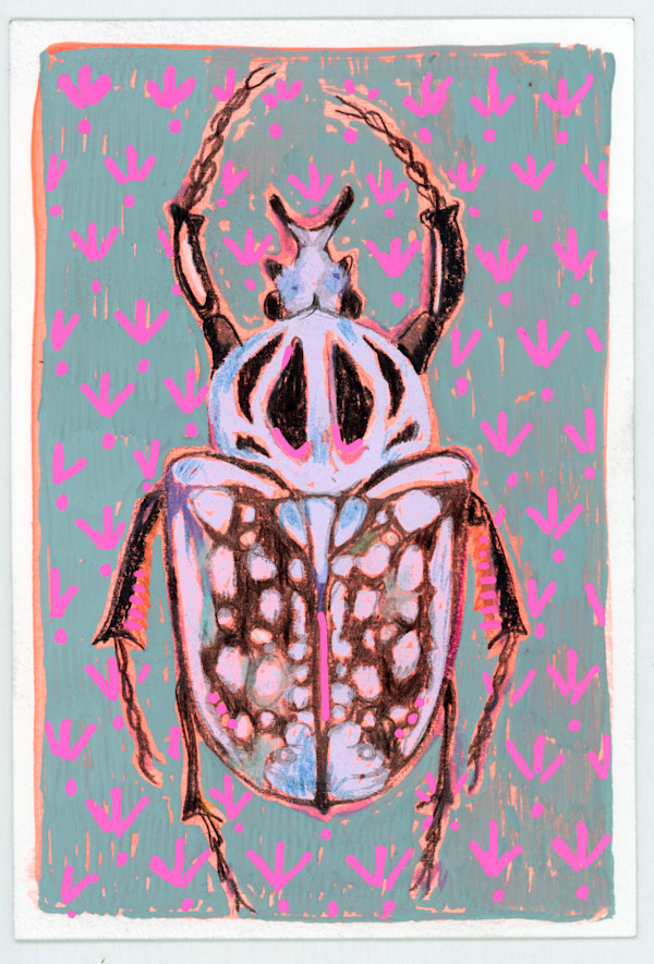 Goliathus Orientalis by Sarah Jaynes