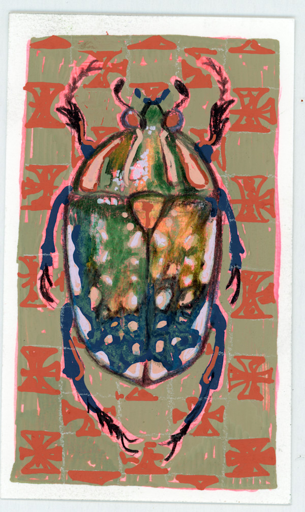 Coleotteri Cetonidi Female by Sarah Jaynes