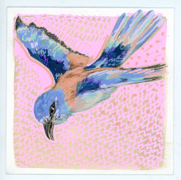 Bird Sketch by Sarah Jaynes