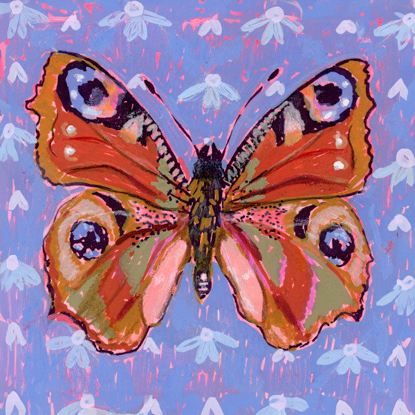 Inachis io by Sarah Jaynes