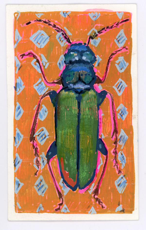Cerambyx Cerdo by Sarah Jaynes