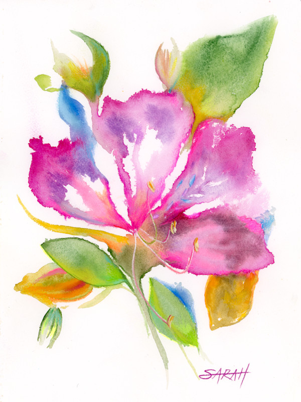 Magnolia Watercolour Sketch by Sarah Jaynes