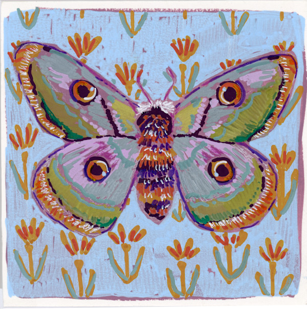 Saturnia Pyri by Sarah Jaynes