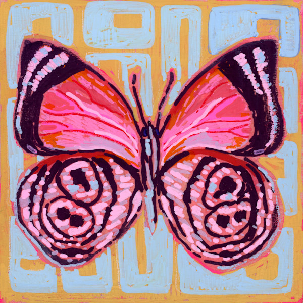 Diaethria Clymena by Sarah Jaynes