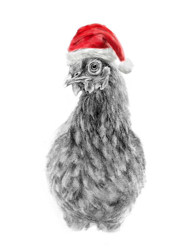 Christmas Chicken by Sarah Jaynes