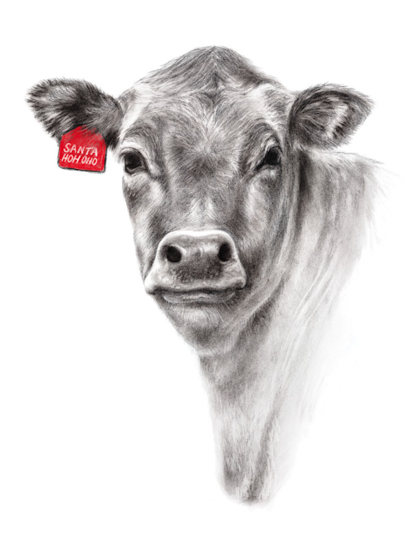 Christmas Cow by Sarah Jaynes
